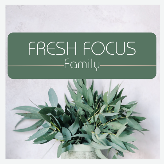 Fresh Focus - Family - 5-Day Workbook (2 of 3)